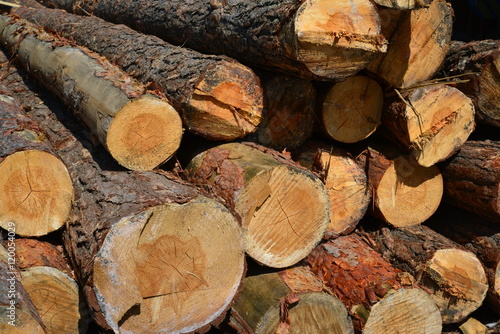 Sawlogs to produce general-purpose lumber