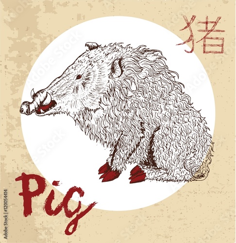 Chinese zodiac symbol of etching pig with hieroglyph