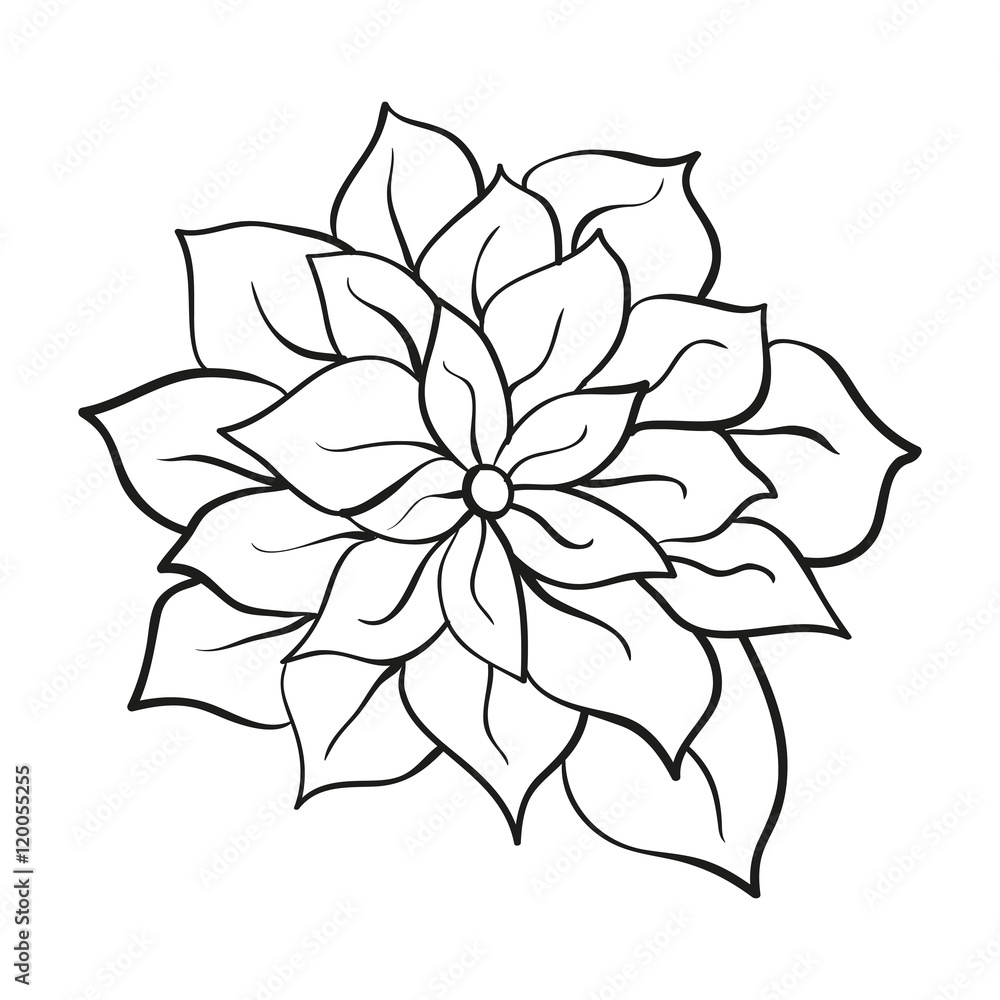 flower with delicate light contour on a white background flower with delicate light contour on a white background