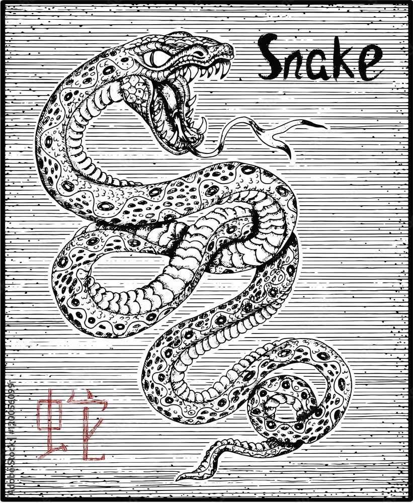 Fototapeta premium Engraved illustration of zodiac symbol with snake and lettering