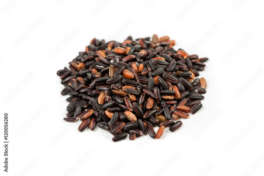 Japonica black rice isolated on white background Japonica black rice isolated on white background