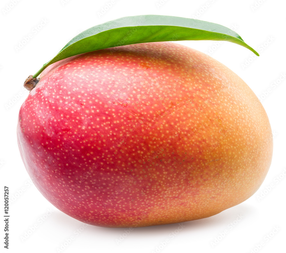 Mango fruit with leaf isolated on the white background. Mango fruit with leaf isolated on the white background.