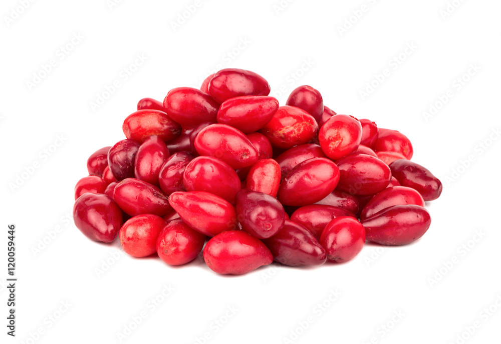 Pile cornelian cherry Pile cornelian cherry