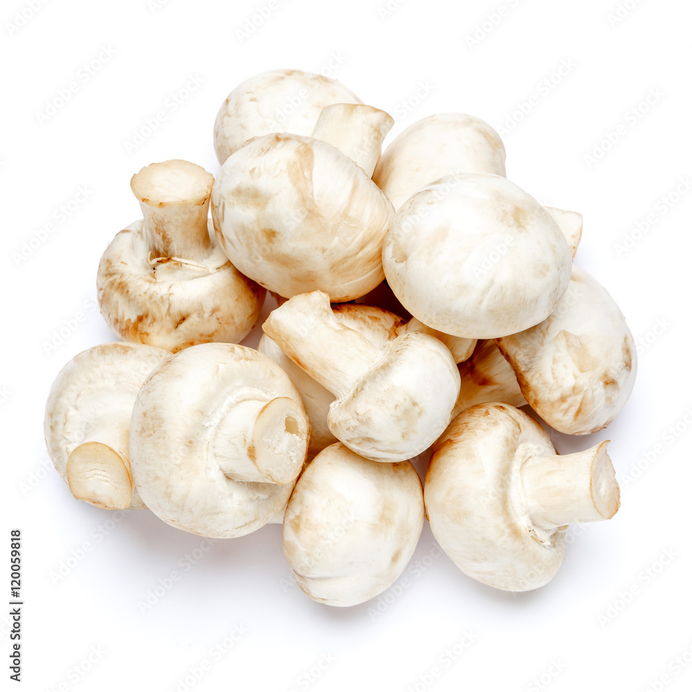 champignon mushroom isolated on white champignon mushroom isolated on white