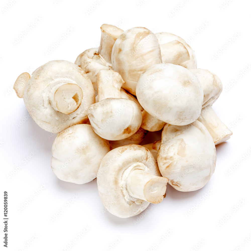 champignon mushroom isolated on white champignon mushroom isolated on white