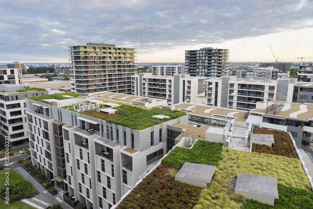 View of green roof on modern buildings in Sydney, Australia - obrazy, fototapety, plakaty 