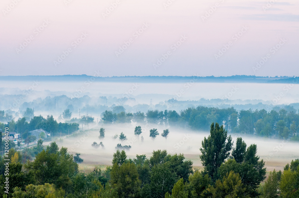 Landscape morning fog countryside