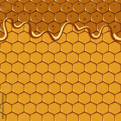Seamless pattern of the honey and honeycomb. Vector.
