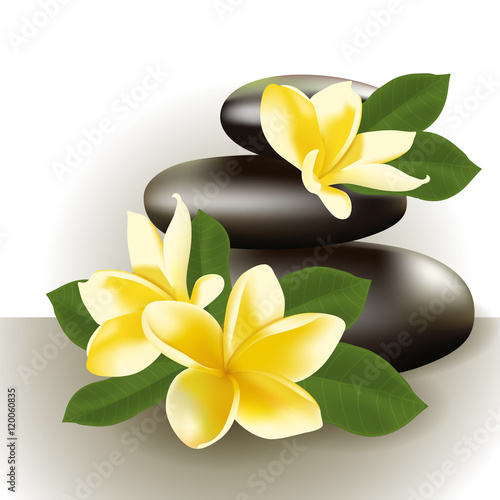 Spa still life with frangipani flower, vector illustration.