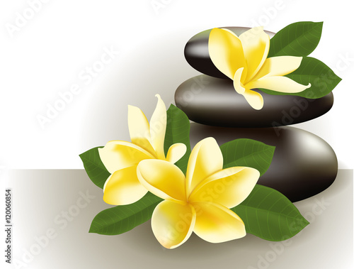 Spa still life with frangipani flower, vector illustration.