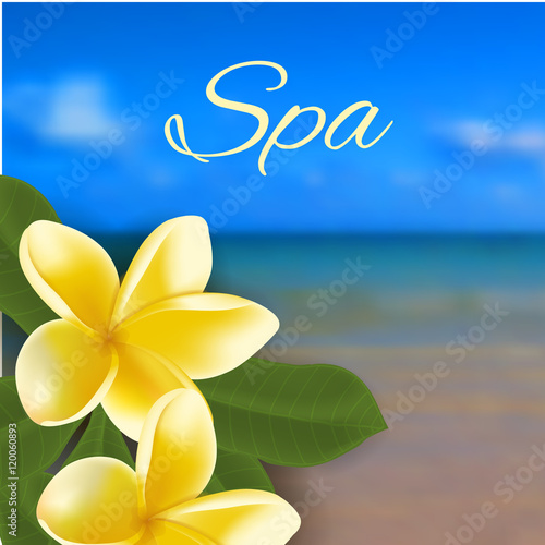 Spa concept with blurred seaside background and realistic vector frangipani