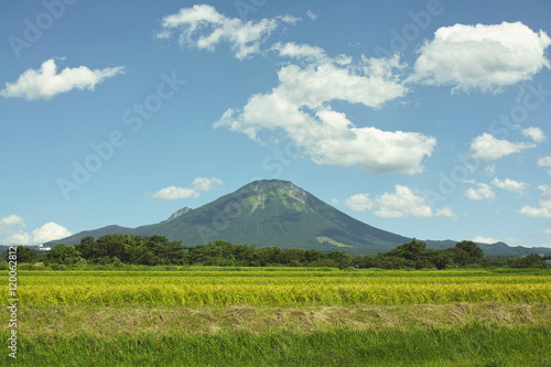 夏の大山 西麓