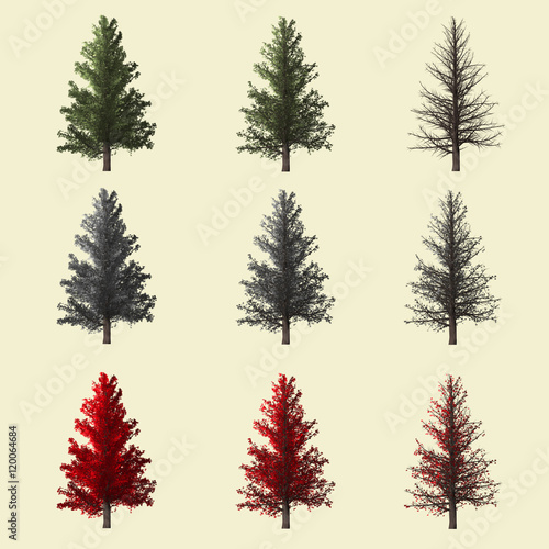 Spruce tree season change set,summer winter autumn 3d rendering isolated for landscape designer.