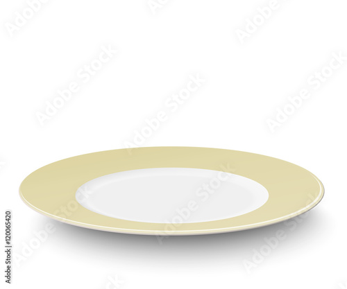 Empty plate with ivory-colored design isolated