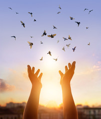 Woman praying and free bird enjoying nature in sunset background