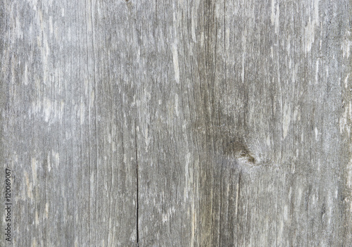 Old wood texture grey background