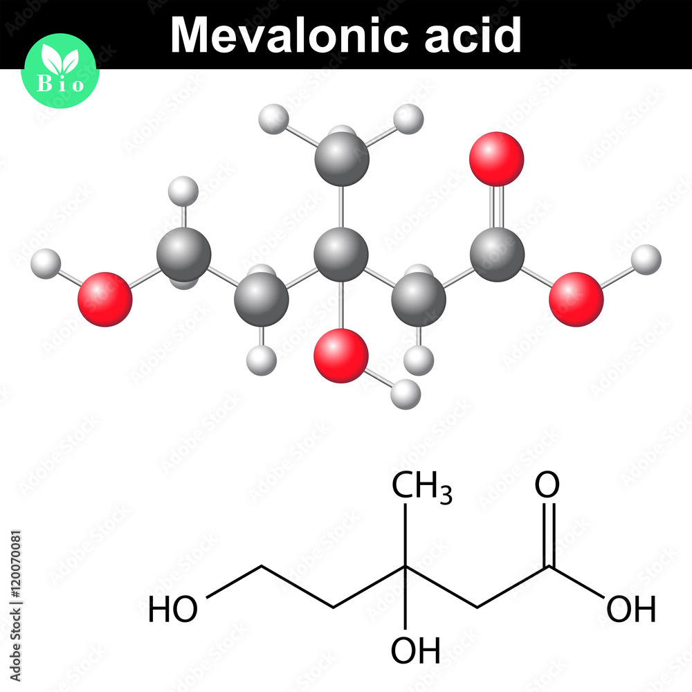 Mevalonic acid molecule Mevalonic acid molecule