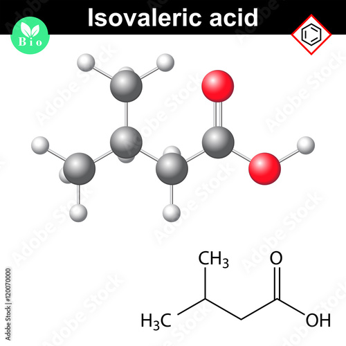 Isovaleric acid molecule