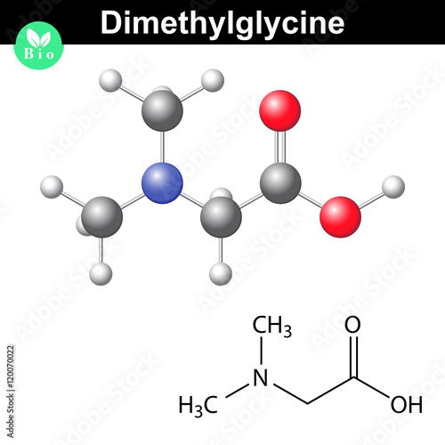 Dimethylglycine model and molecular structure
