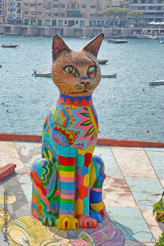 Sliema cat