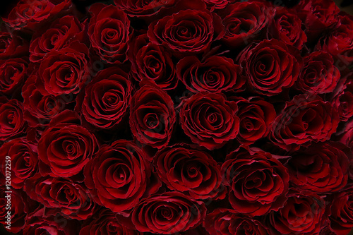 Red roses background. Claret roses bouquet. Top view.