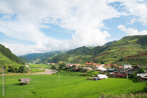 Agriculture Green Rice fields and rice terraced on mountain at SAPA, Lao Cai, Mu Cang Chai, Vietnam. The most of area is rice terraced. nature and landscape rice fields