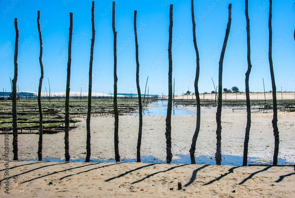 Parc à huitres du cap ferret