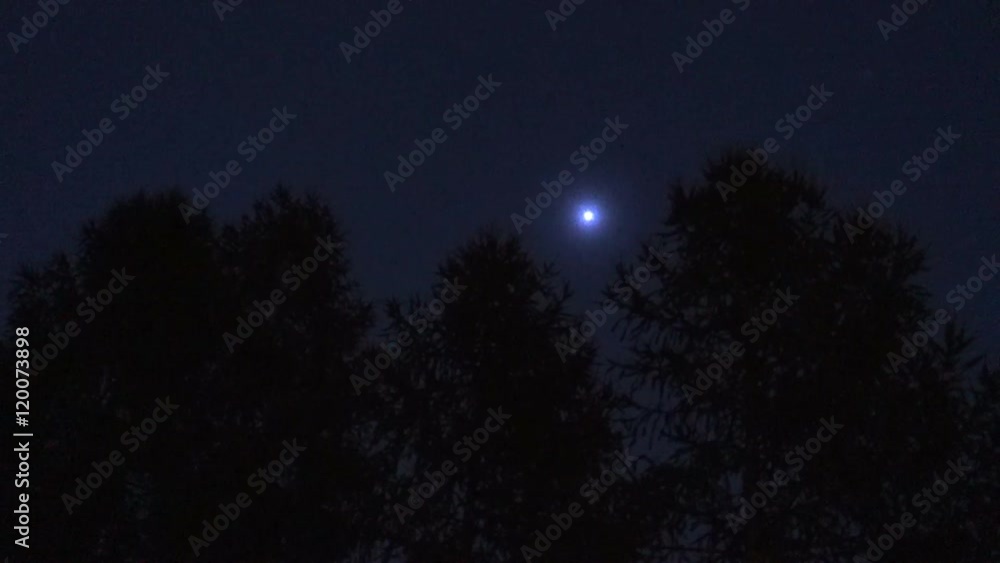 cgi of a bright ligt or ufo moving in the night sky behind some trees. handheld shot with noise due to the low light conditions