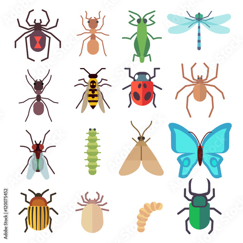 Insect vector flat icons set