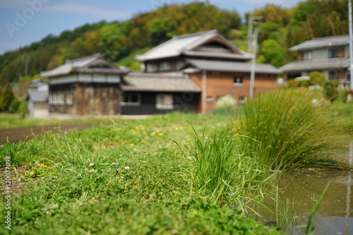 Rural view in Japan