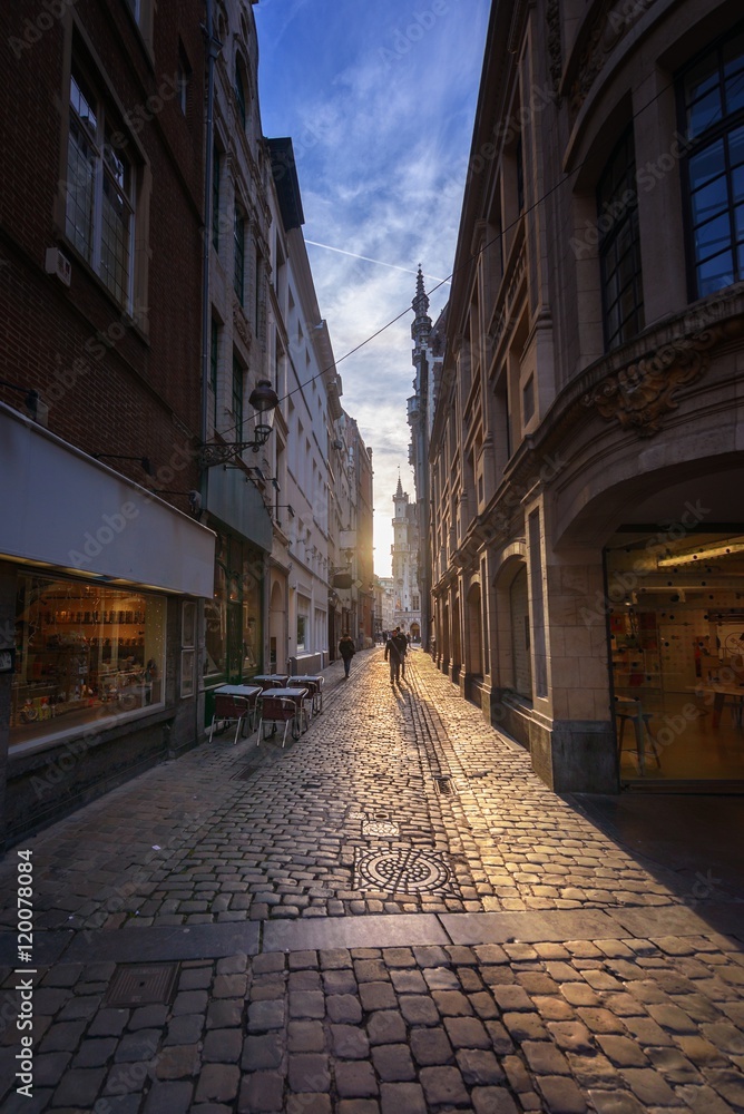 Narrow cobbled street