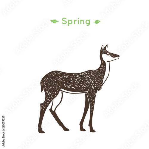 Illustration of a doe in lithography style.