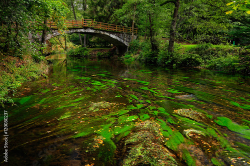 Stone bridge in green landscape with river and trees, forest in the background, Kamenice river, in czech national park, Ceske Svycarsko, Bohemian Switzerland park, Czech Republic