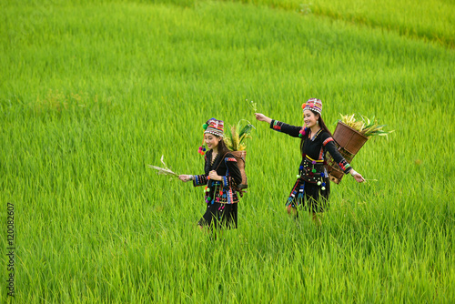 Two women wearing tribal costumes work in the fields of rice terraces .