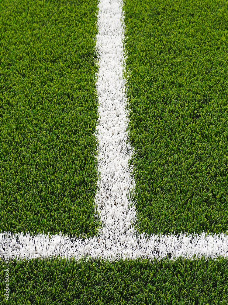 Fototapeta premium Artificial grass