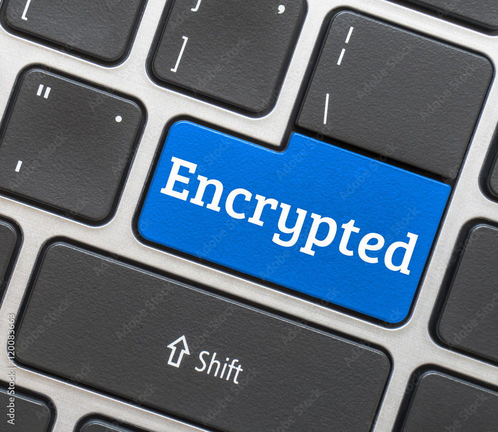 Fototapeta premium keyboard button with word website.