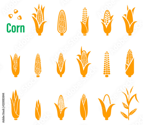 Vector set of icons and logos with corn on a white background.