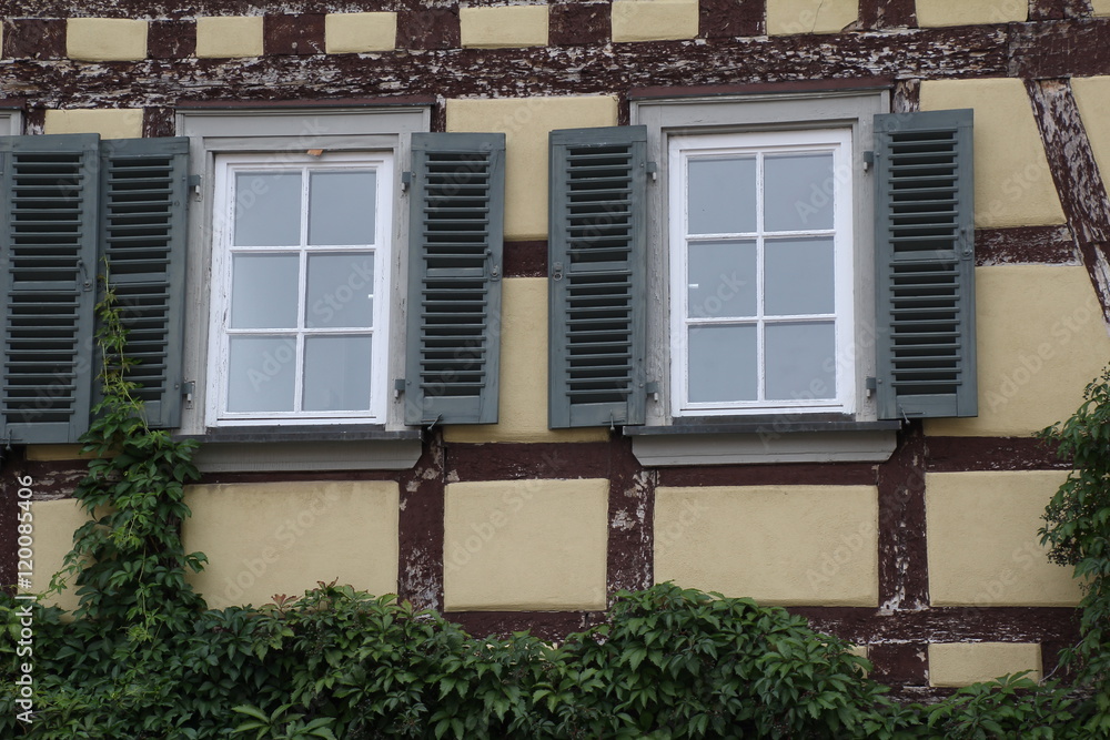 Fototapeta premium Tudor style house