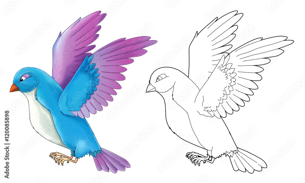 Cartoon exotic colorful bird - flying - isolated - with coloring page -  illustration for children Stock Illustration | Adobe Stock