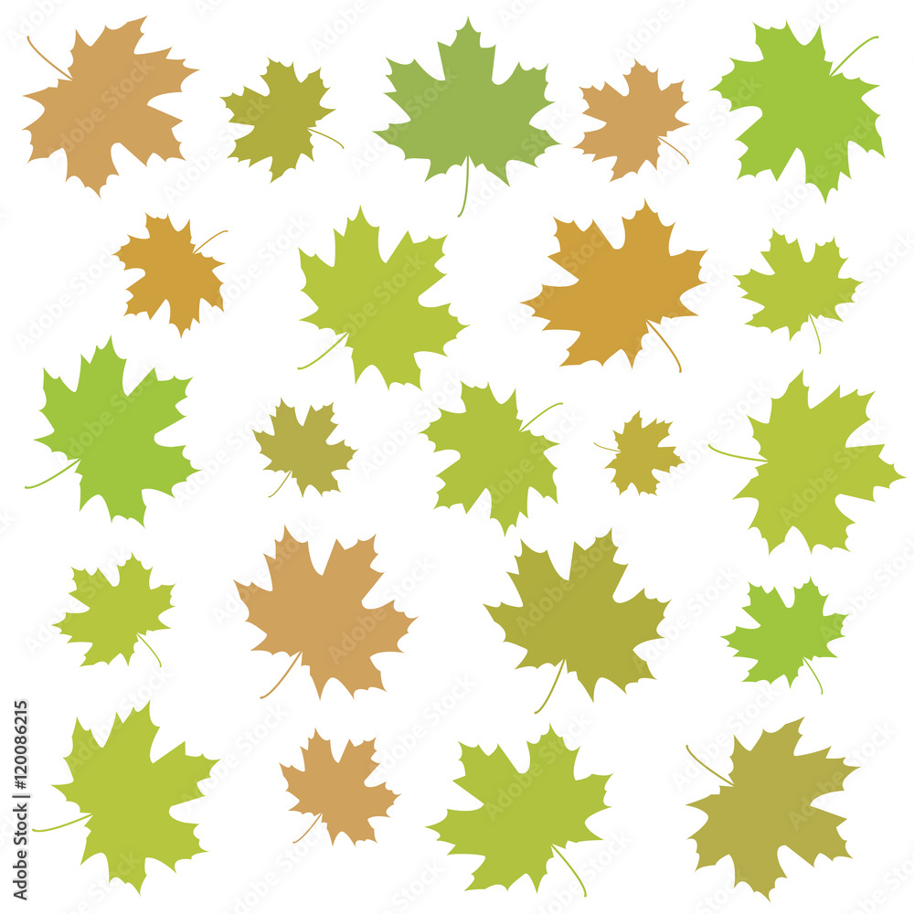 Autumn maple leaves. Autumn maple leaves.