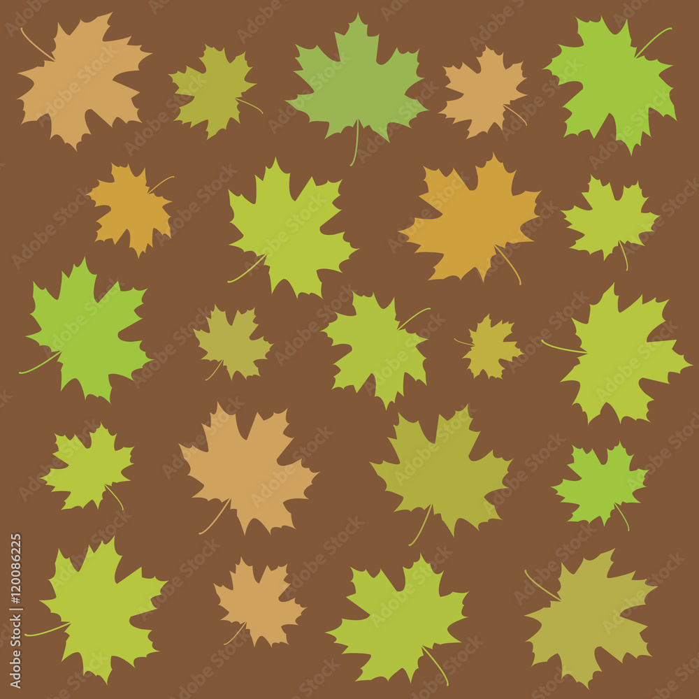 Autumn maple leaves. Autumn maple leaves.