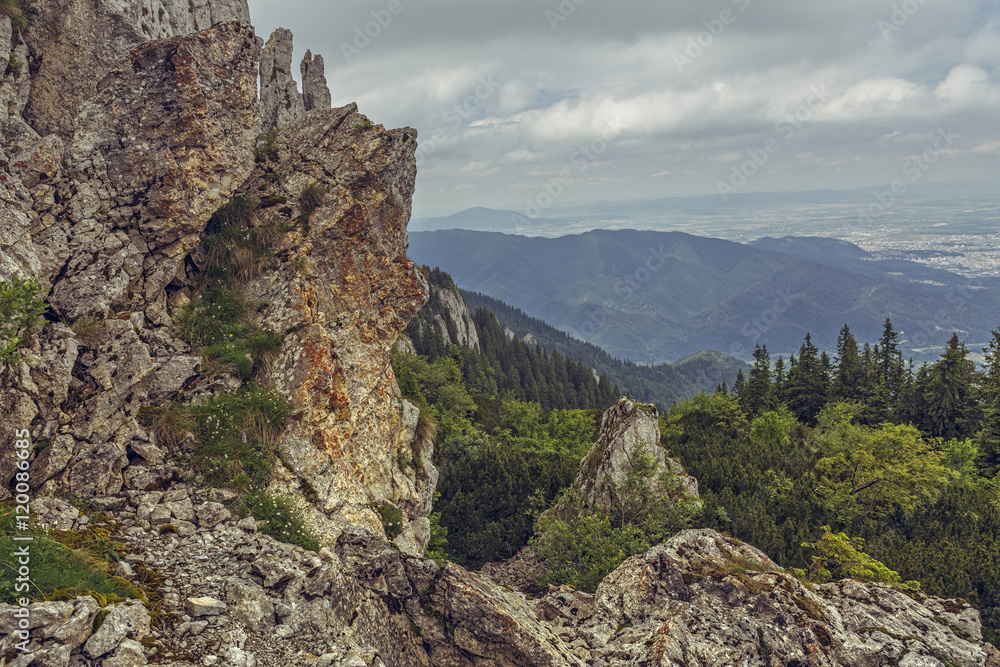Alpine wilderness and quiet in picturesque Piatra Mare Mountains in Brasov County, Romania.
