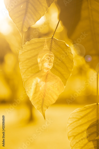 Bo leaves gold with buddha image  Golden Leaf  Bodhi Tree with sun bright  power of buddha background concept.
