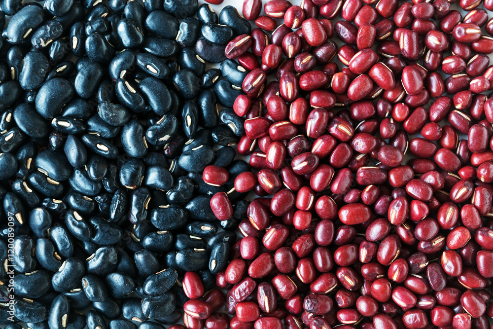 selected focus Red beans , Black beans healthy organic seeds selected focus Red beans , Black beans healthy organic seeds