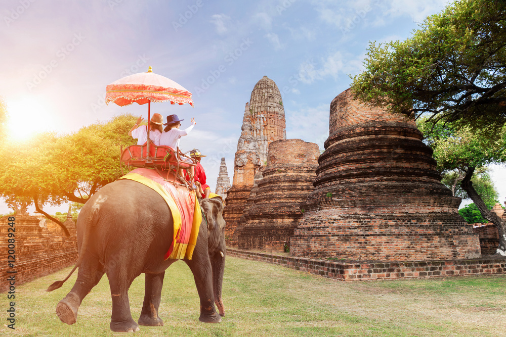 Fototapeta premium Tourists riding elephants in Ayutthaya,Thailand sunrise,sun light