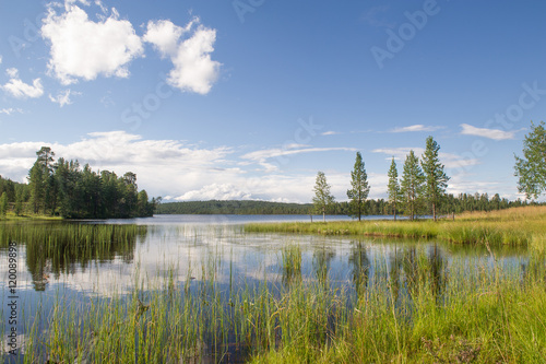 scenic lake with forest