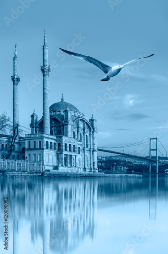 Photography Ortakoy mosque and Bosphorus bridge, Istanbul, Turkey