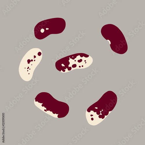 Set of red and white flat beans icons
