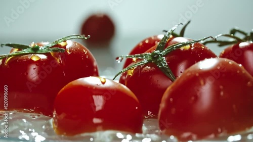 Closeup of fresh ripe tomatoes tossed up by splash of clean water photo