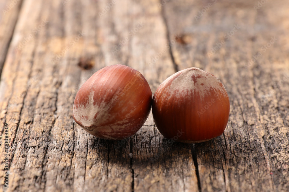 Obraz premium hazelnut